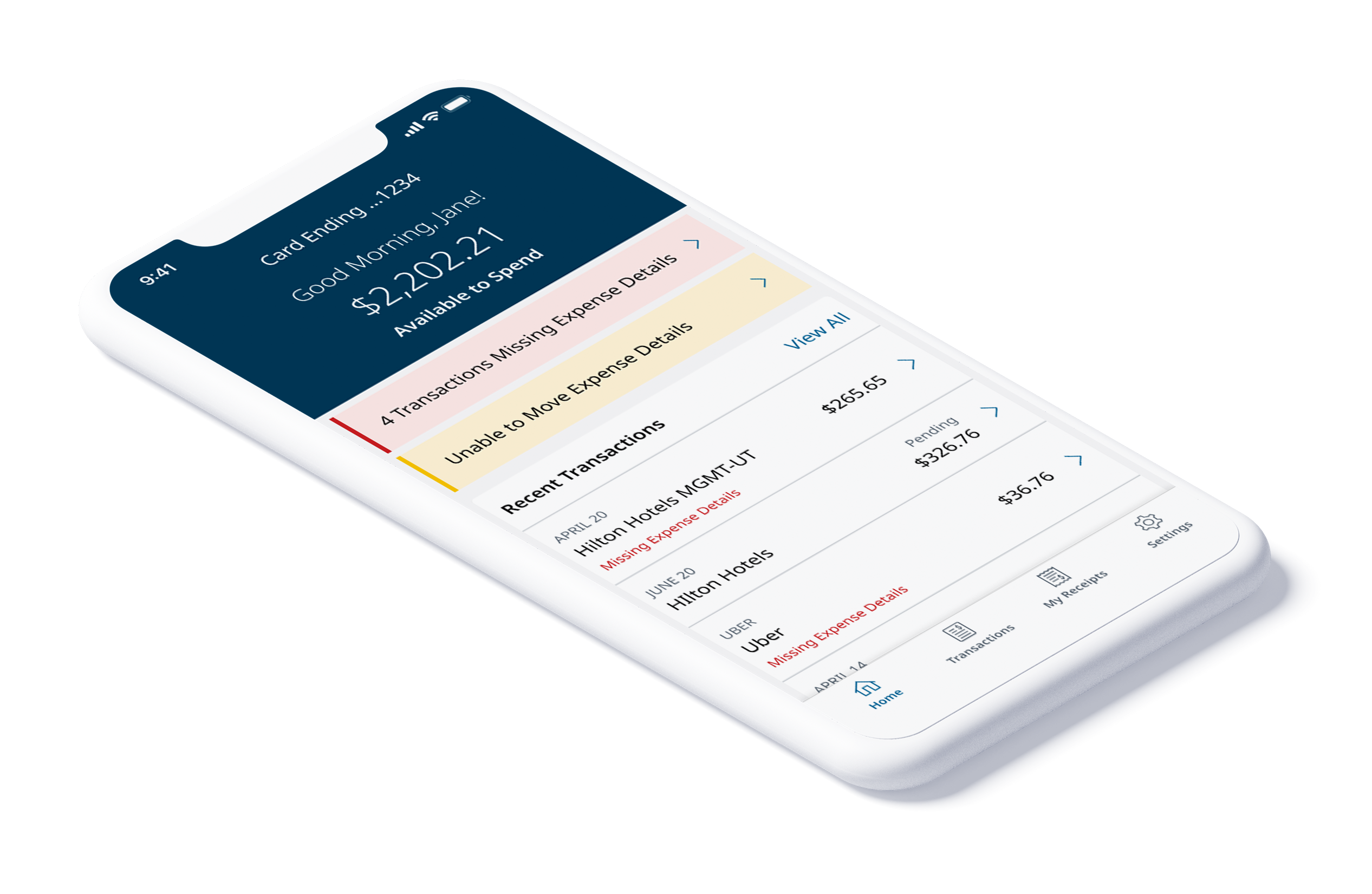 Multiple alert states for pending transaction issues